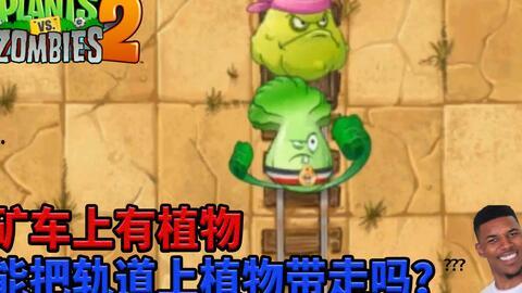 国产色奇吧,探索中国色彩文化的独特魅力